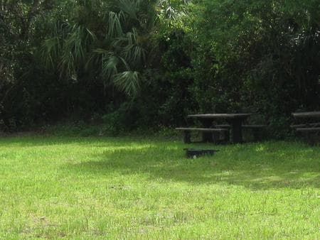 Pinecrest Group Campground photo 3