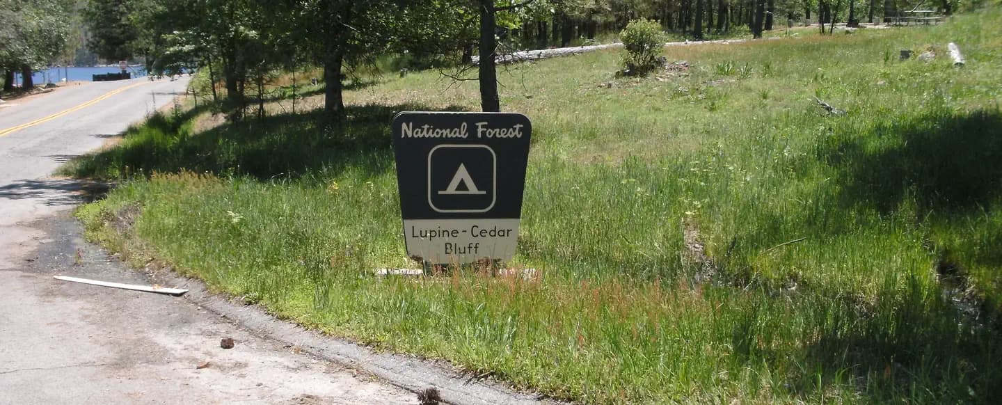 LUPINE campground