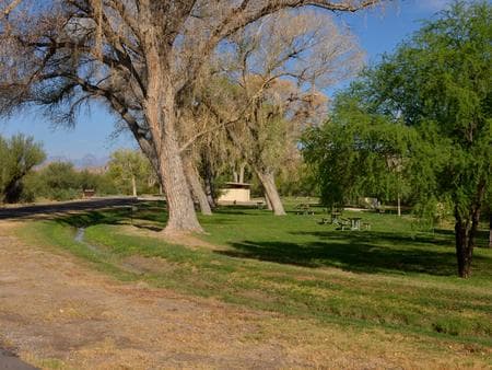 Rio Grande Village Group Campground (Big Bend, TX) photo 3