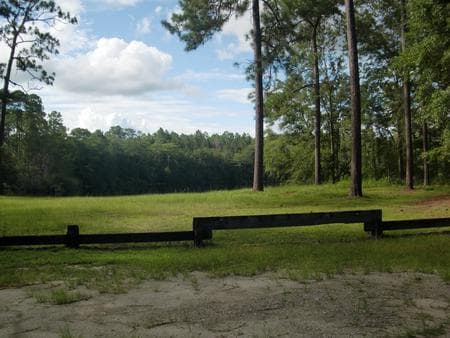 WRIGHT LAKE CAMPGROUND photo 3