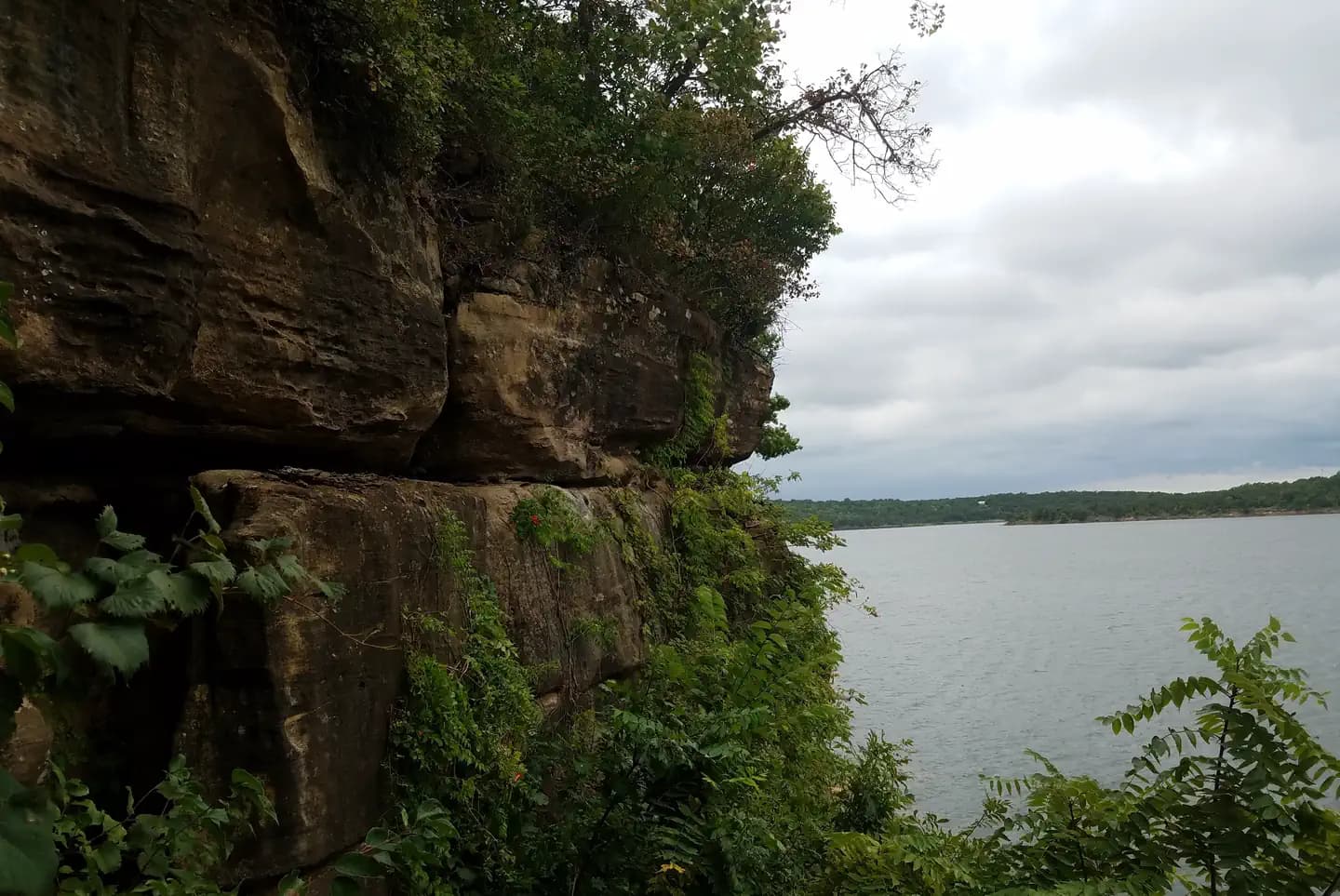 TALL CHIEF COVE photo 2