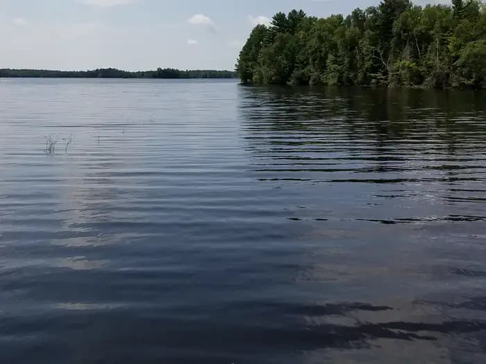 MOOSE LAKE campground