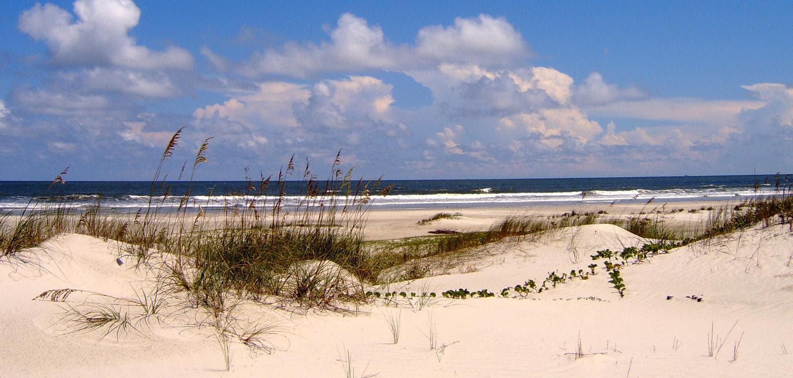 Cumberland Island National Seashore Camping Permits campground