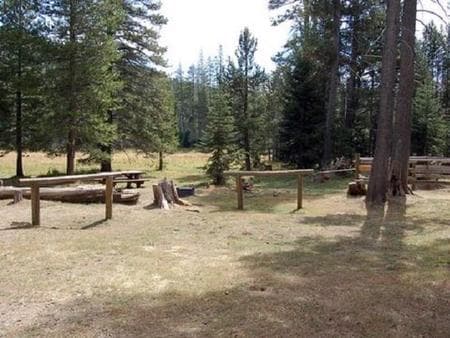LITTLE LASIER MEADOWS CAMPGROUND photo 3