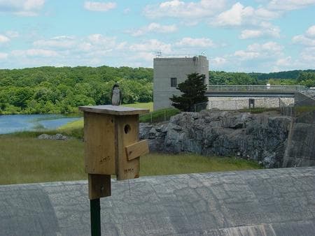 West Thompson Lake Campground campground