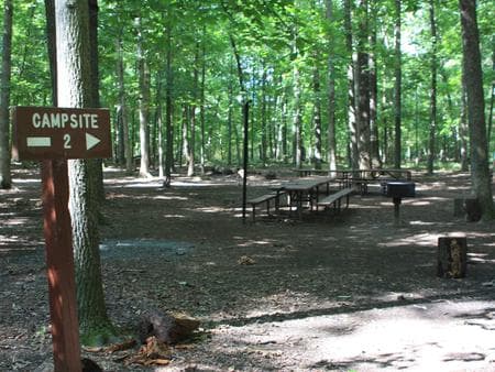 Marsden Tract Group Campsite photo 3