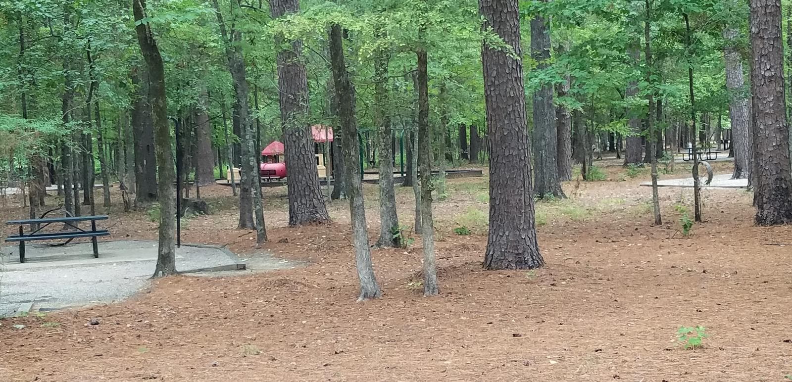 MALDEN LAKE CAMPGROUND photo 3