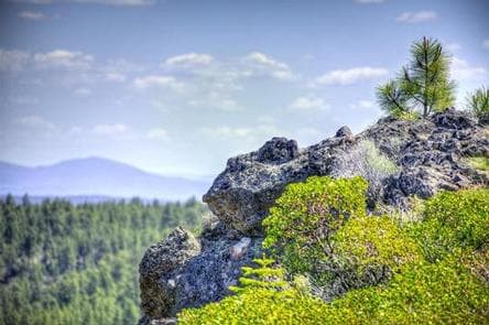 DRIFTWOOD CAMPGROUND - DESCHUTES campground