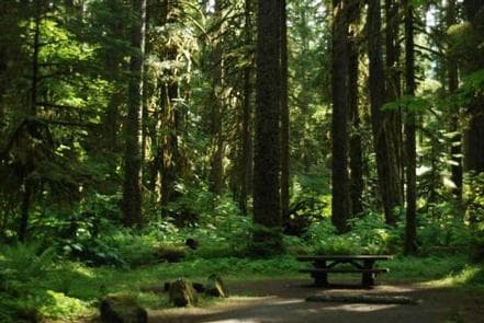 Iron Creek Campground campground