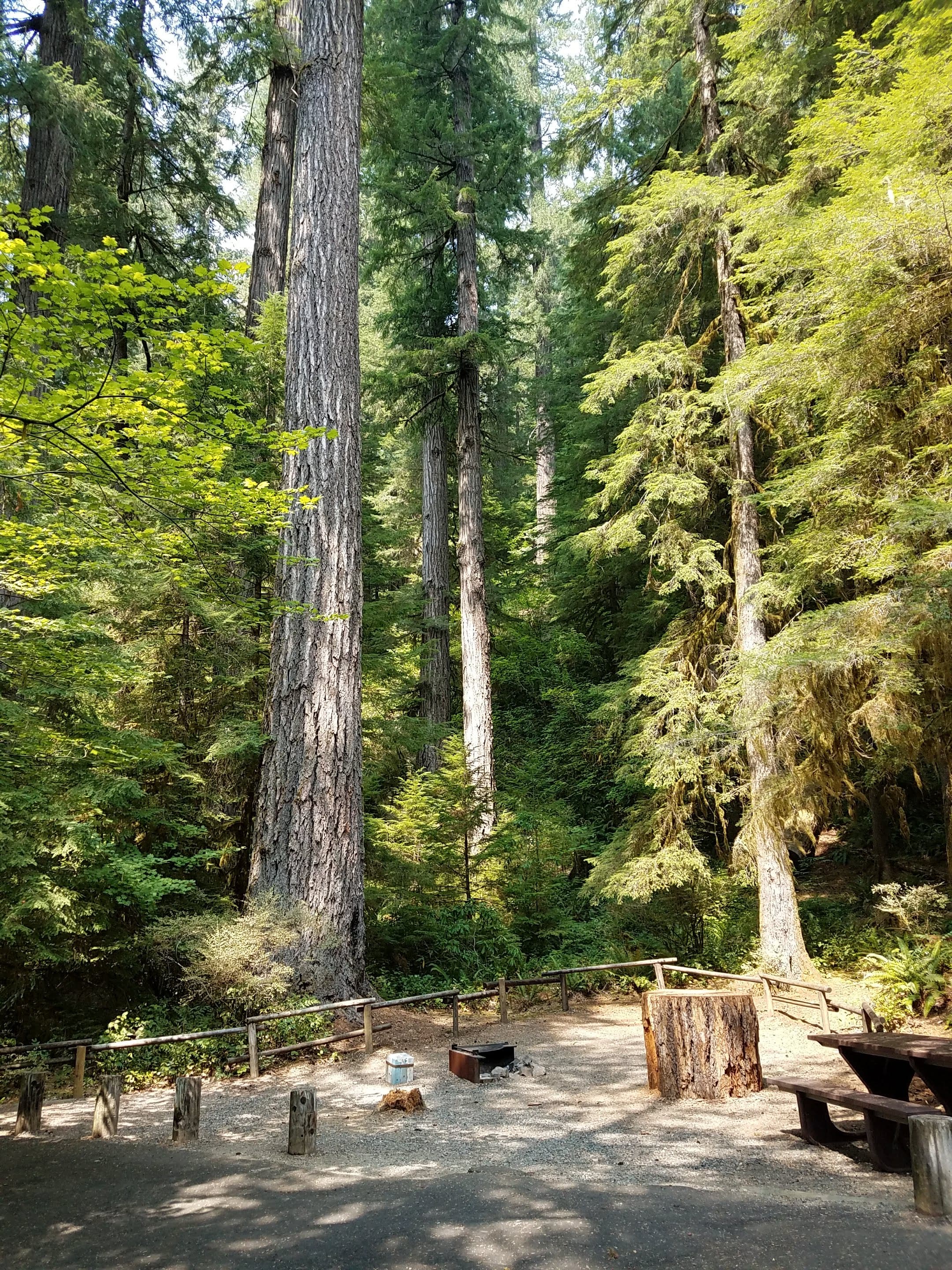 Yellowbottom Recreation Site photo 2