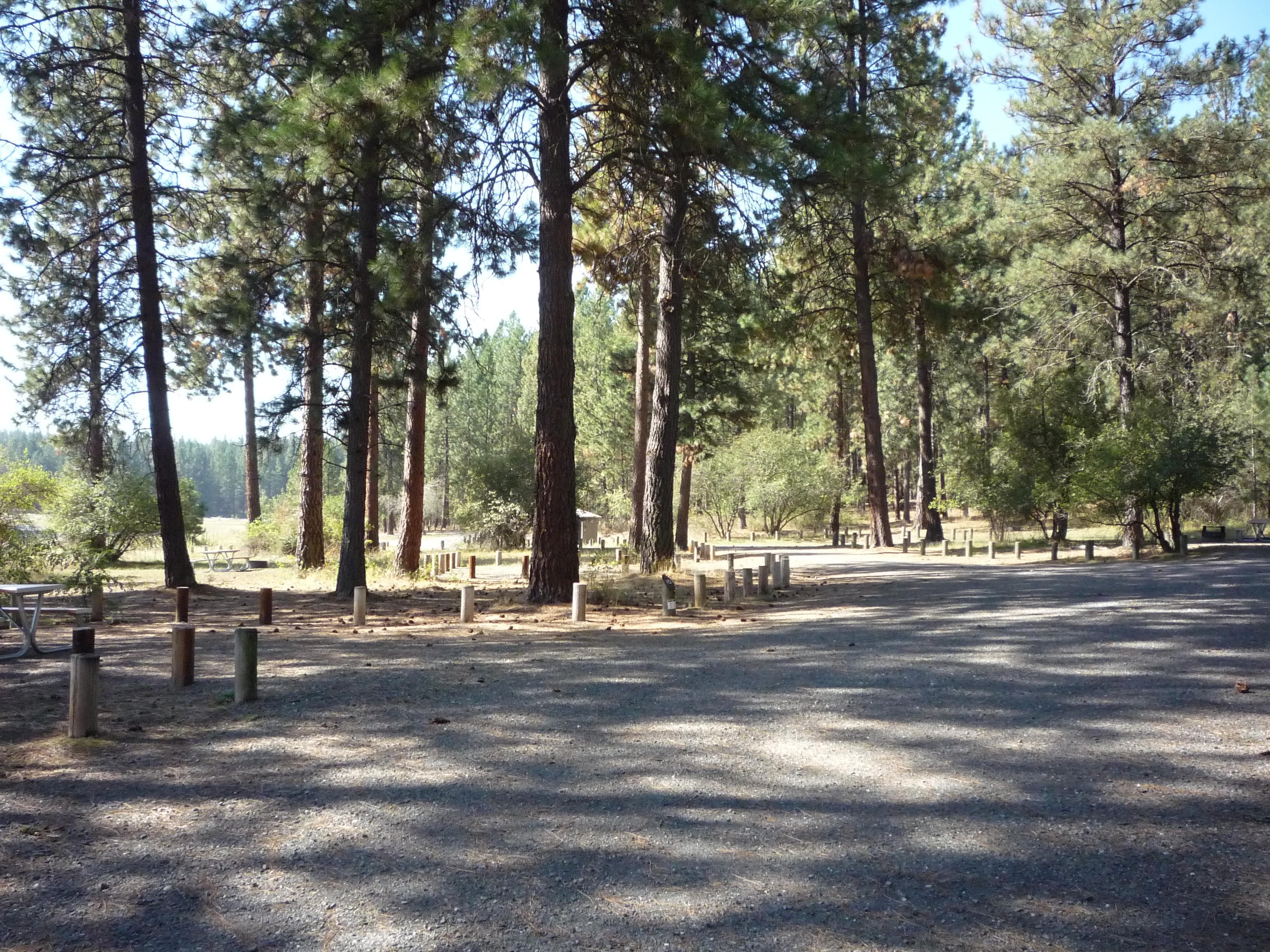 Haag Cove Campground campground