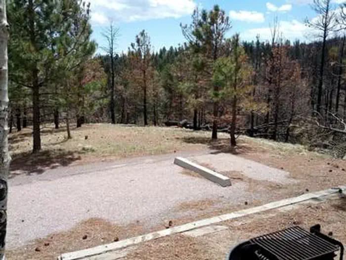 MEADOW RIDGE photo 3