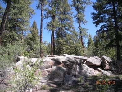 KELSEY CAMPGROUND photo 3
