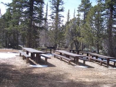PINE LAKE CAMPGROUND photo 3