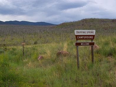 DRIPPING SPRINGS CAMPGROUND (UT) photo 3