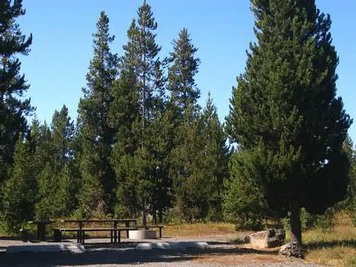 MCCREA BRIDGE photo 2