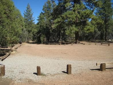 TANGLEWOOD GROUP CAMP photo 3