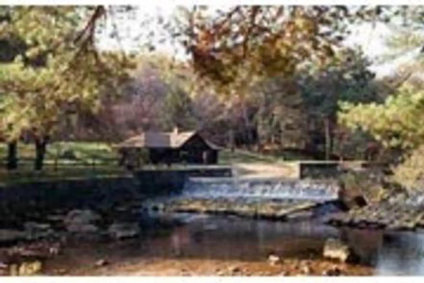 LOLETA RECREATION photo 2