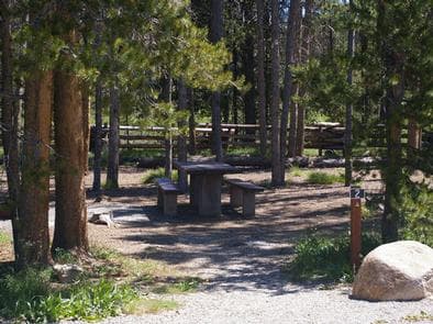 ELK CREEK CAMPGROUND (SAWTOOTH NF) photo 3