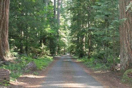 The Dalles Campground photo 3