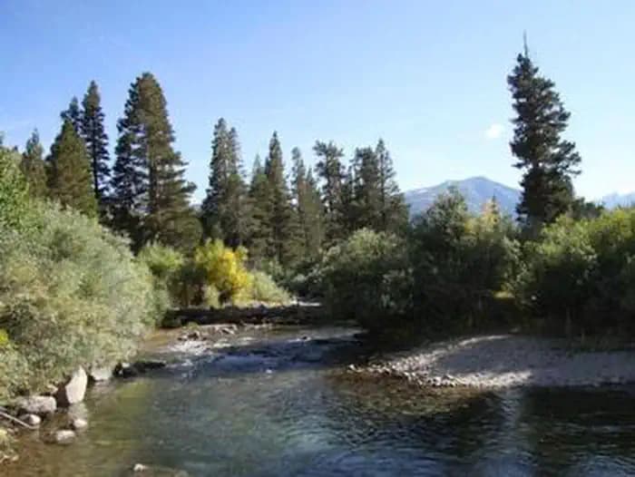 HONEYMOON FLAT photo 2