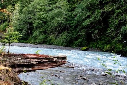 Excelsior Group Camp campground