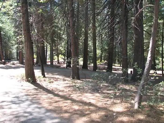 STUMPY MEADOWS photo 3