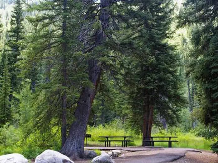 Spruces - Big Cottonwood photo 3