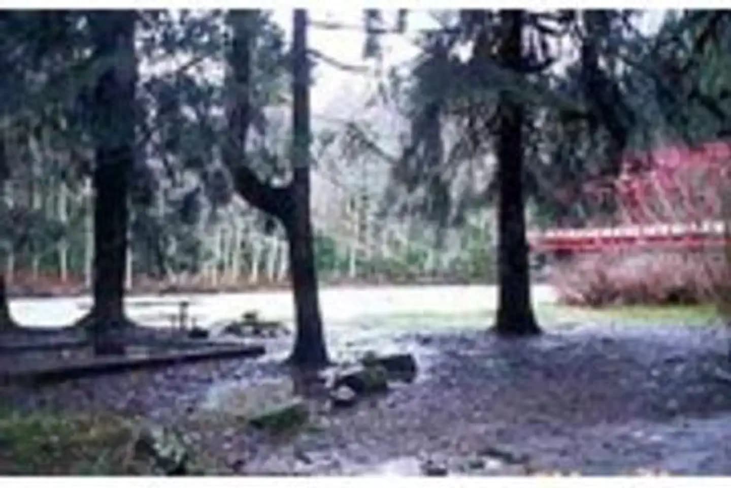 RED BRIDGE (PA) photo 2