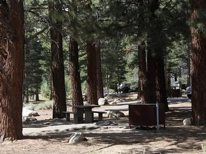 ROBINSON CREEK NORTH