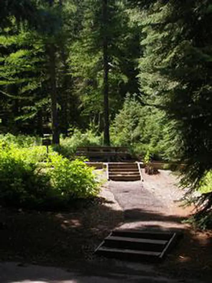 Spruces - Big Cottonwood campground