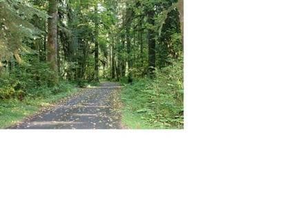 Turlo Campground photo 3