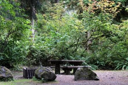 Shannon Creek Campground photo 3