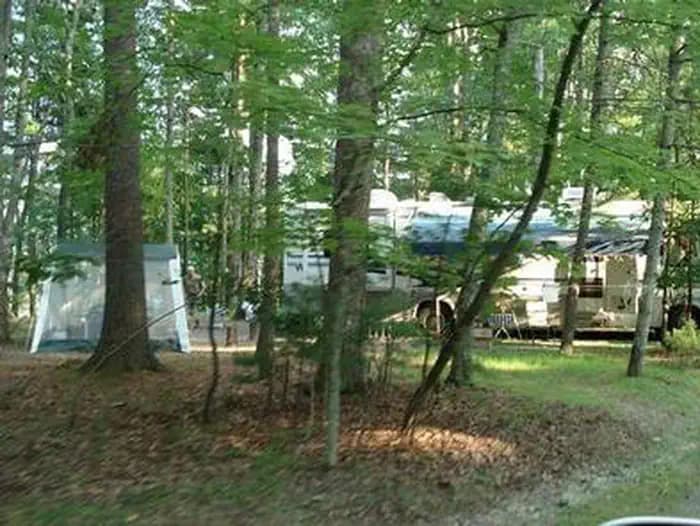 SENECA SHADOWS photo 2