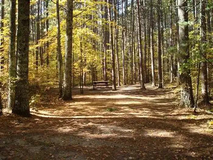 NORWAY BEACH LOOP photo 2