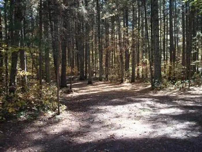 NORWAY BEACH LOOP photo 3