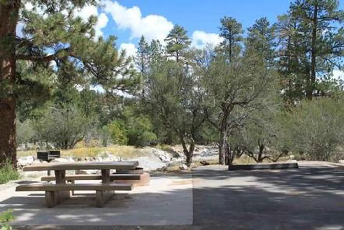 KYLE CANYON PICNIC AREA DAY USE photo 3
