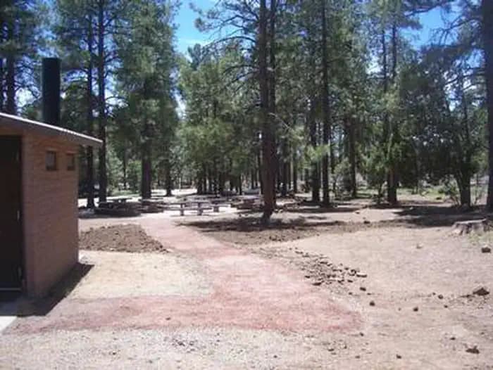 PLAYGROUND GROUP photo 2