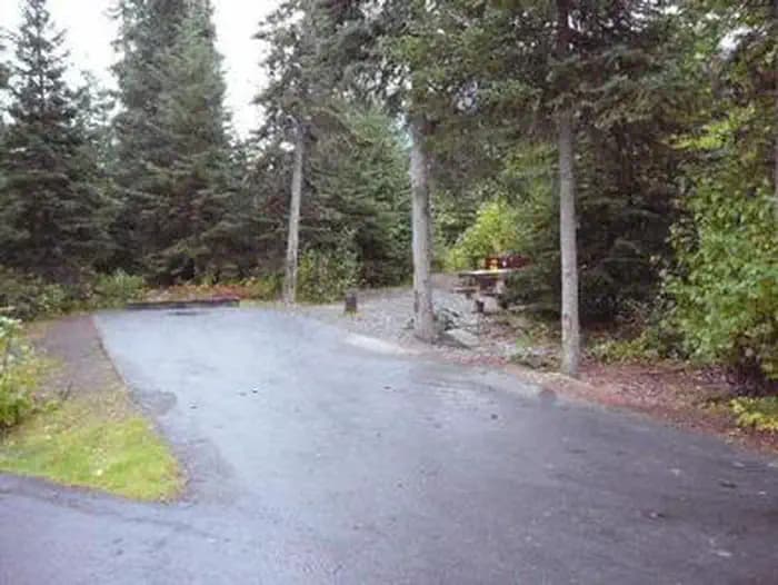 RUSSIAN RIVER photo 2