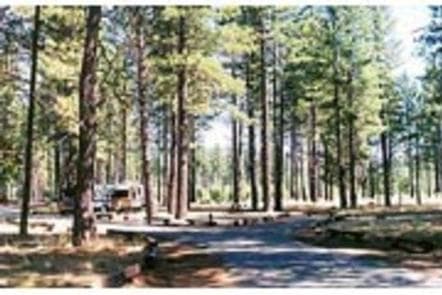 EAGLE CAMPGROUND photo 3