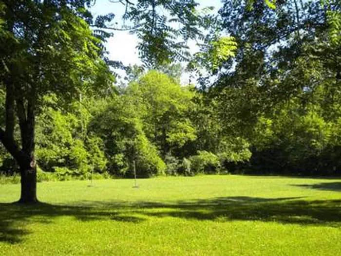 CRAIGS CREEK GROUP AREA photo 3