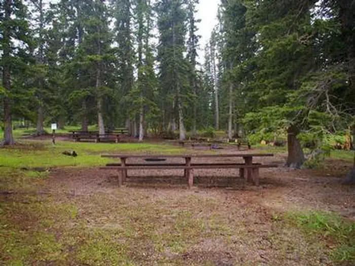 IRON SPRINGS GROUP ASHLEY photo 3