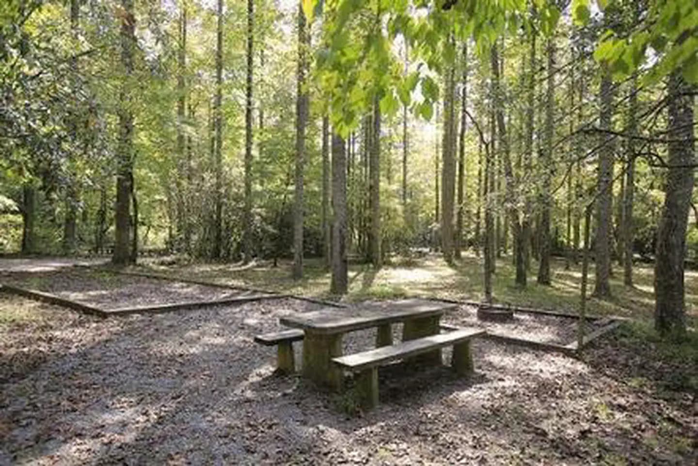 NORTH MILLS RIVER photo 3