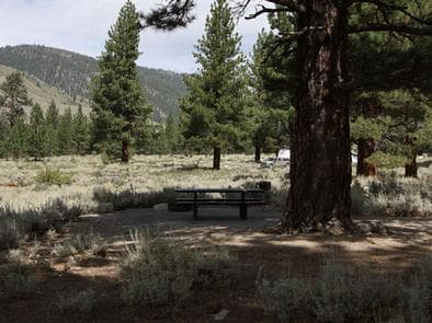 CRAGS CAMPGROUND photo 3