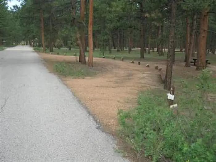 South Meadows - Pike San Isabel NF (CO) photo 3