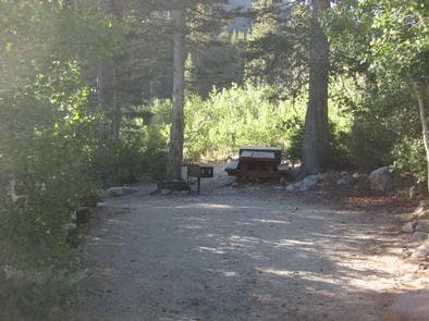 East Fork Campground – Inyo National Forest (CA)