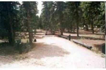 COLUMBINE CAMPGROUND photo 3