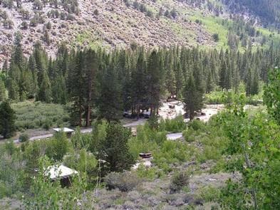 East Fork Campground – Inyo National Forest (CA) photo 3