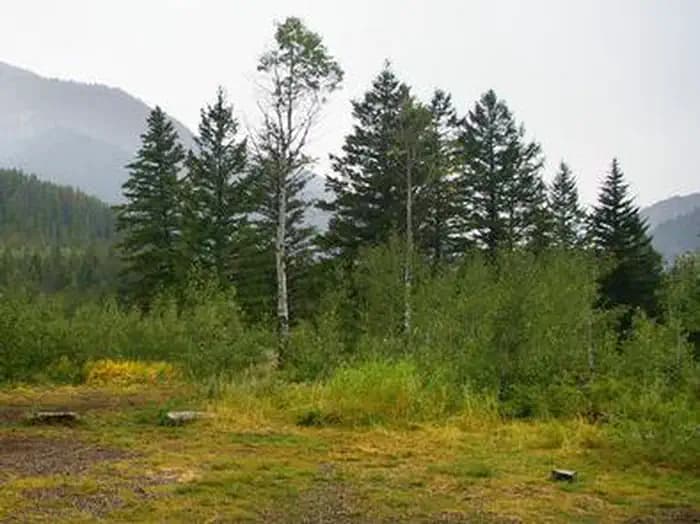 LITTLE COTTONWOOD GROUP campground