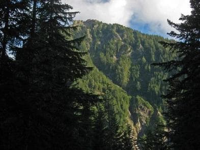 COUGAR ROCK CAMPGROUND photo 3